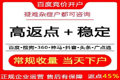 SEM代运营公司成功案例：助力企业快速实现盈利